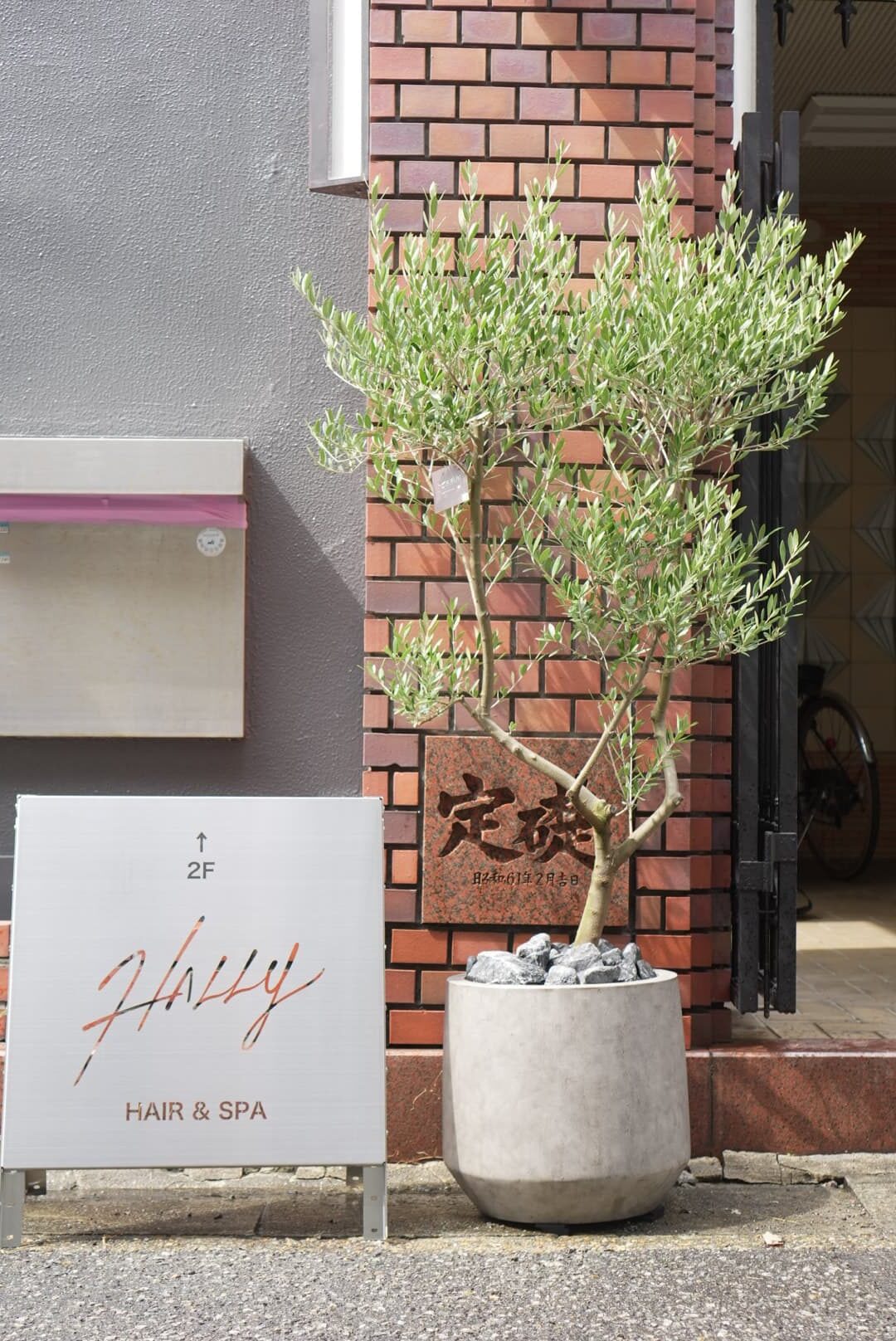 兵庫県加古川市|店舗玄関にオリーブを配置したプランター植栽