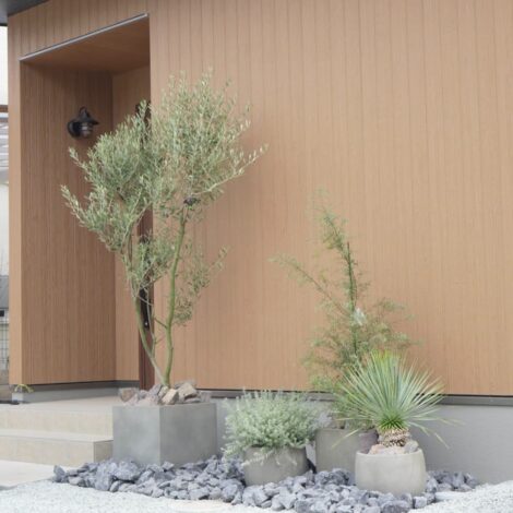 新築の植栽・シンボルツリーなら植物専門店Bgreen｜オリーブを中心とした植栽デザイン・施工