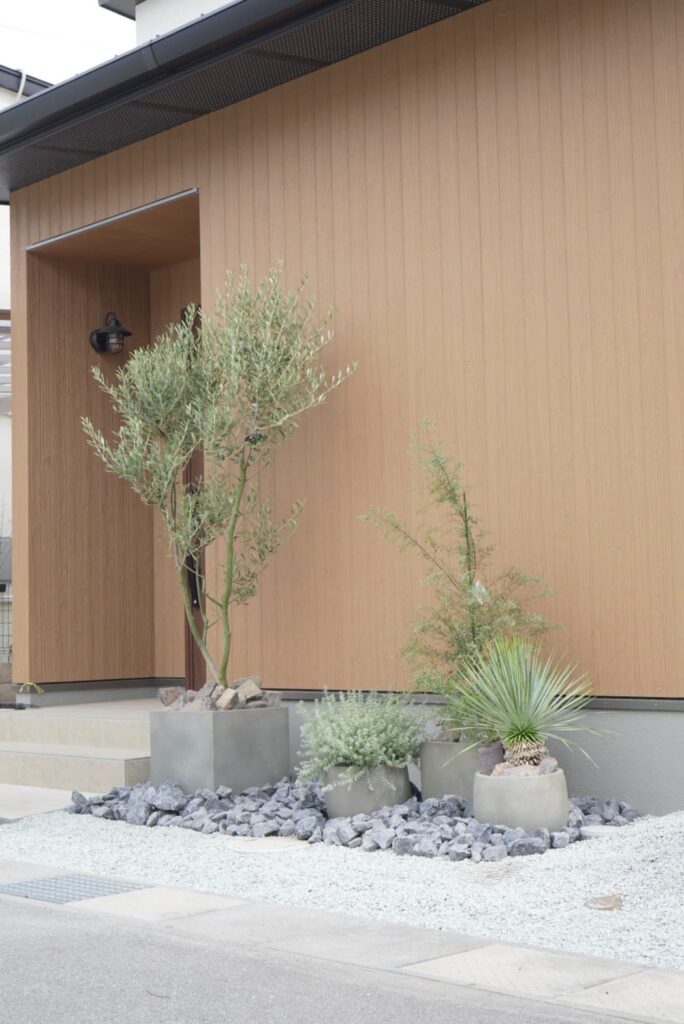 兵庫県姫路市|新築玄関前にオリーブとウエストリンギアとユーカリをプランター植栽で施工した事例